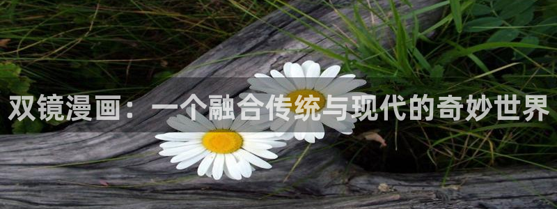 汗汗漫画免费阅读在线阅读：双镜漫画：一个融合传统与现代的奇妙世界