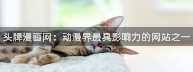 汗汗漫画肉：头牌漫画网：动漫界最具影响力的网站之一