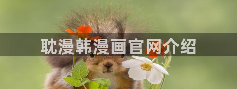 汗汗漫画网首页