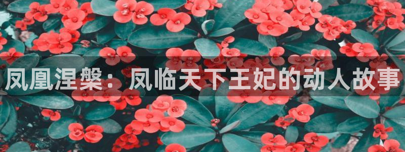 汗汗漫画韩漫首页