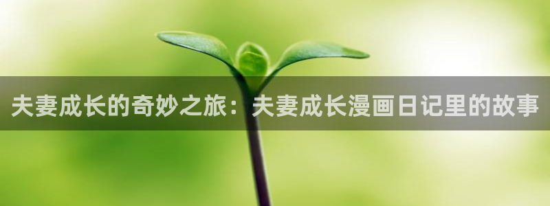 歪歪漫画汗汗漫画页页网站