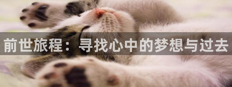 汗汗漫画首页免费进入