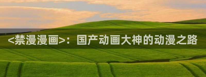 韩国汗汗漫画：<禁漫漫画>：国产动画大神的动漫之路