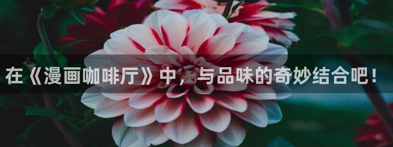 打开汗汗漫画：在《漫画咖啡厅》中，与品味的奇妙结合吧！
