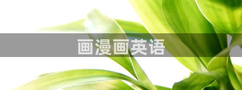 汗汗漫画歪歪：画漫画英语